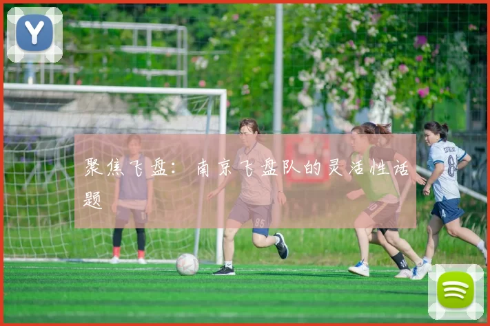 聚焦飞盘：南京飞盘队的灵活性话题
