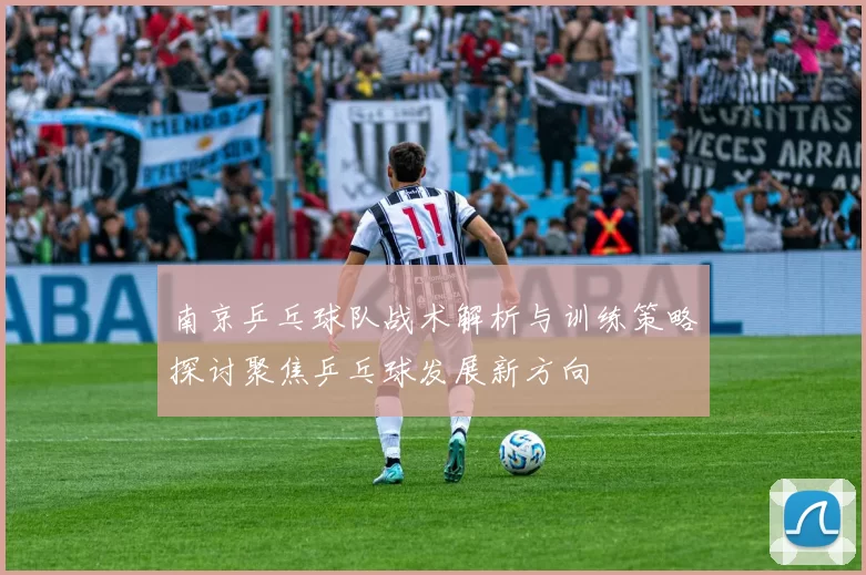 南京乒乓球队战术解析与训练策略探讨聚焦乒乓球发展新方向