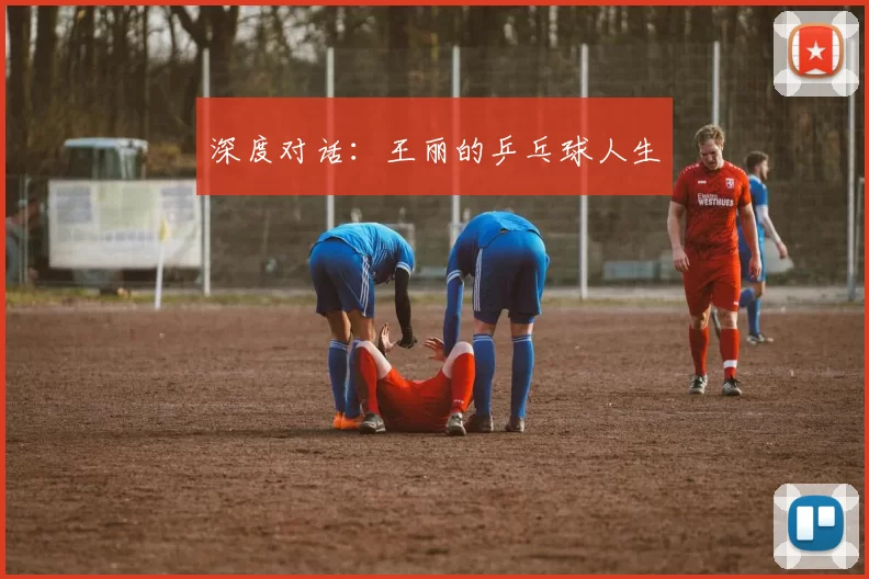 深度对话：王丽的乒乓球人生