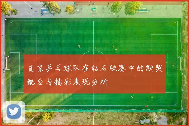 南京乒乓球队在钻石联赛中的默契配合与精彩表现分析