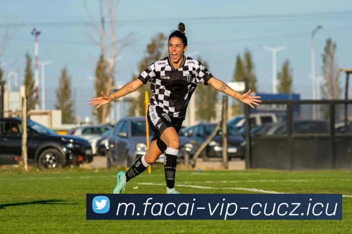 MK体育发展历程