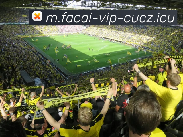 重庆羽毛球队在世界锦标赛中的表现分析与状态评估